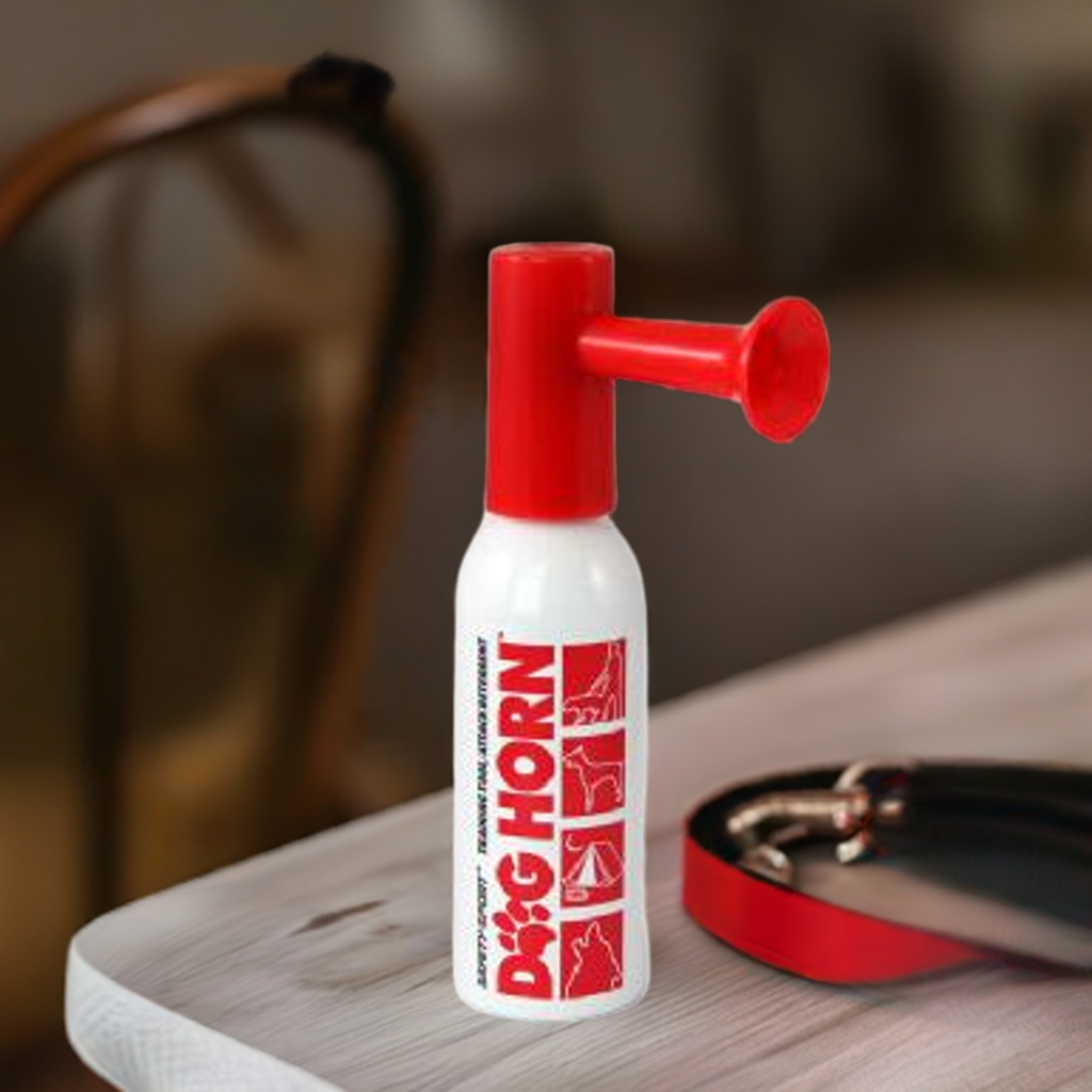 Air Horn